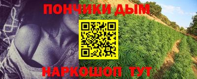 сатива Чебоксары