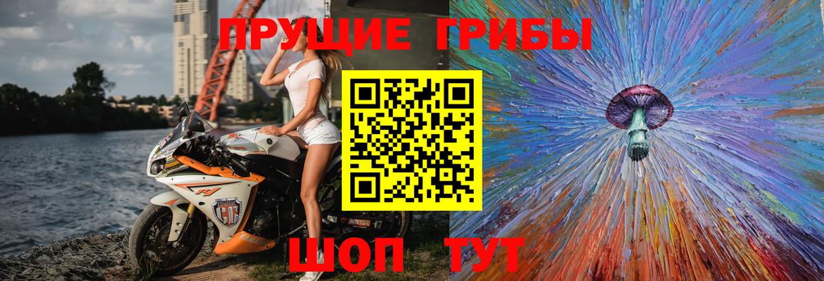 Усть-Джегута  Псилоцибиновые грибы прущие грибы  Псилоцибиновые грибы мухоморы  Вход с VPN 