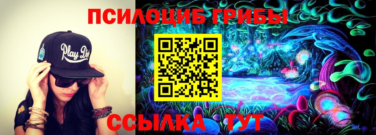 Галлюциногенные грибы GOLDEN TEACHER Усть-Джегута
